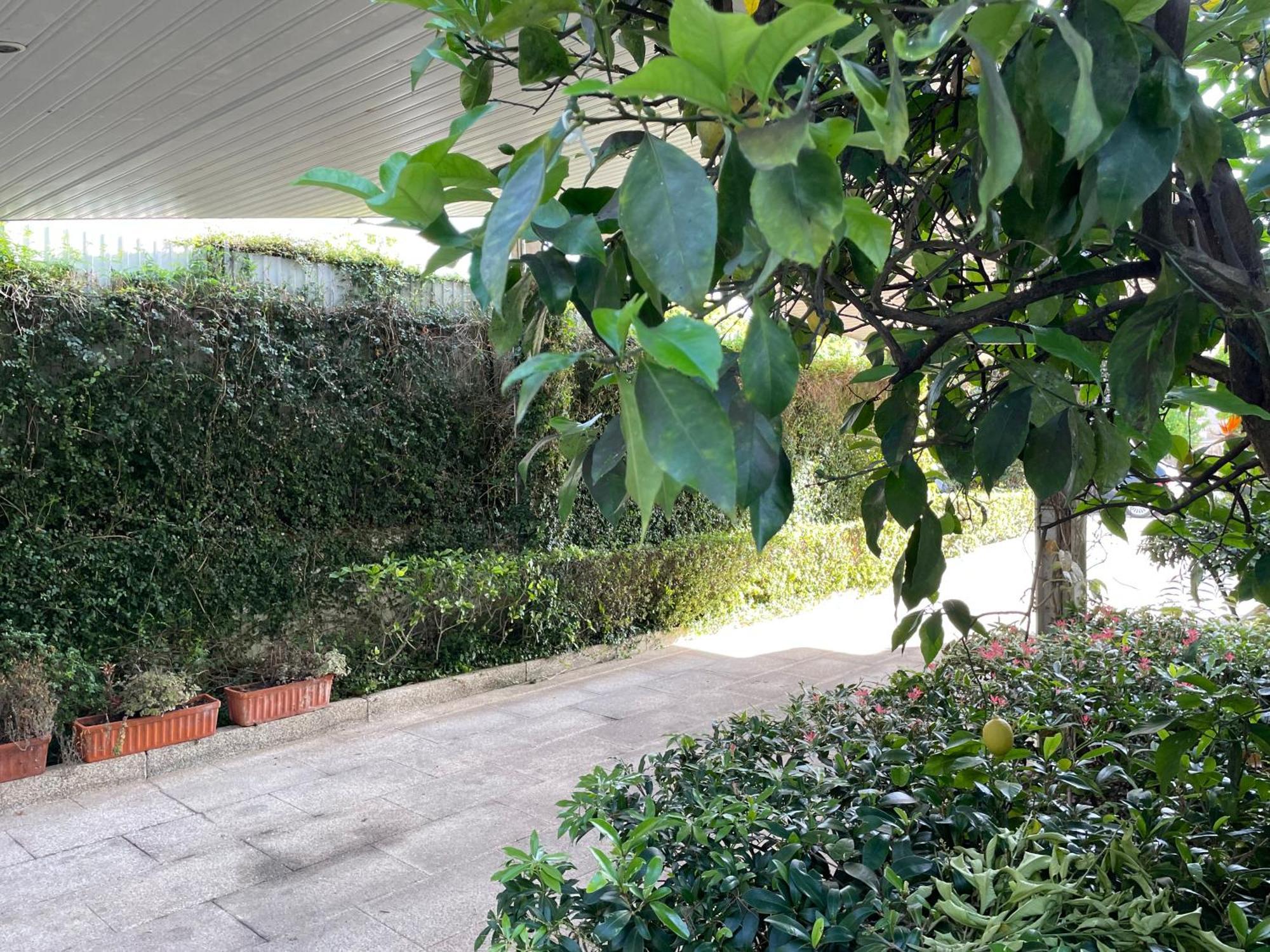 Casa Do Paco Villa Guimarães Dış mekan fotoğraf
